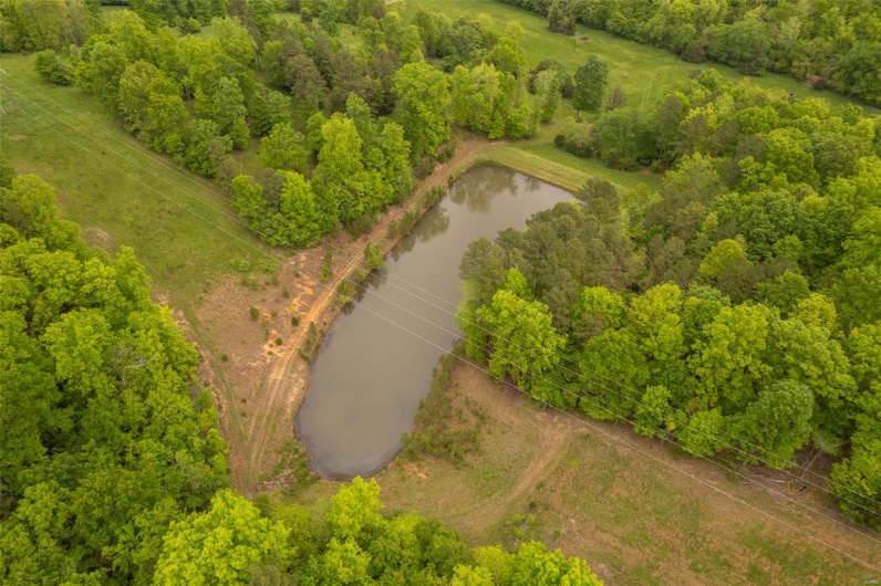 1334 Wayne 366, Piedmont, Missouri 63957, ,Farm,For Sale,Wayne 366,MAR25030128