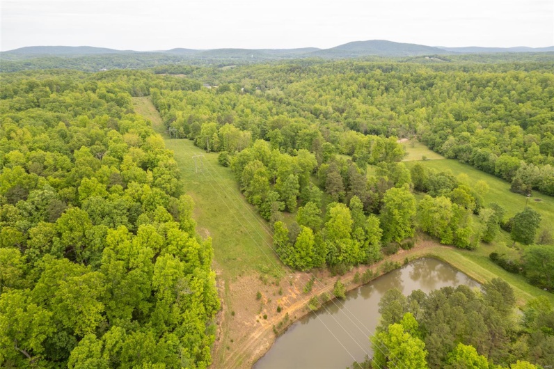 1334 Wayne 366, Piedmont, Missouri 63957, ,Farm,For Sale,Wayne 366,MAR25030128