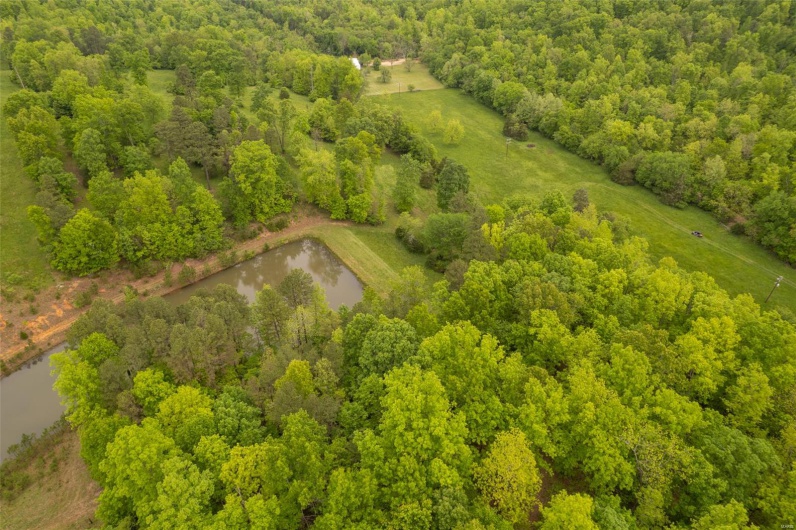 1334 Wayne 366, Piedmont, Missouri 63957, ,Farm,For Sale,Wayne 366,MAR25030128