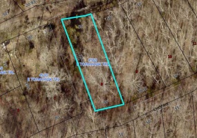 4560 Tomahawk Trail, De Soto, Missouri 63020, ,Land,For Sale,Tomahawk,MAR25019150