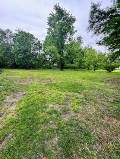 View of grassy yard