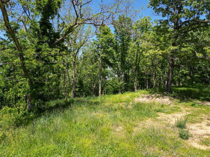 4662 Highway 72, Fredericktown, Missouri 63645, ,Land,For Sale,Highway 72,MAR25030701