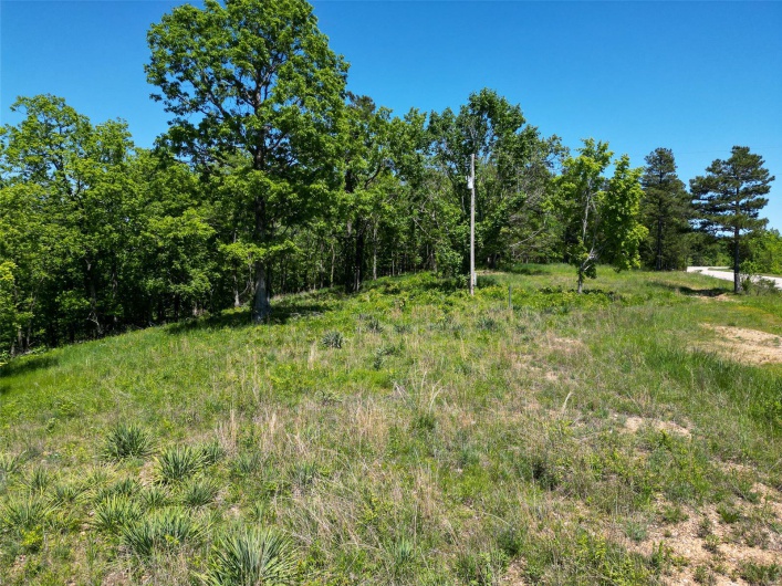 4662 Highway 72, Fredericktown, Missouri 63645, ,Land,For Sale,Highway 72,MAR25030701