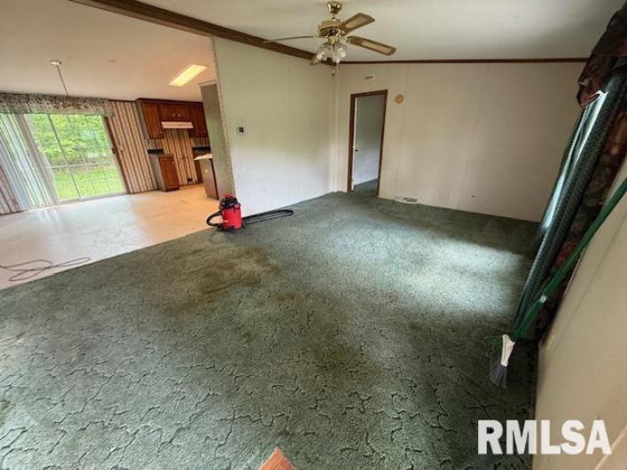 17750 Freeman Spur Road, Herrin, Illinois 62948, 4 Bedrooms Bedrooms, 0 ,2 BathroomsBathrooms,Residential,For Sale,Freeman Spur,0,RMAEB457904
