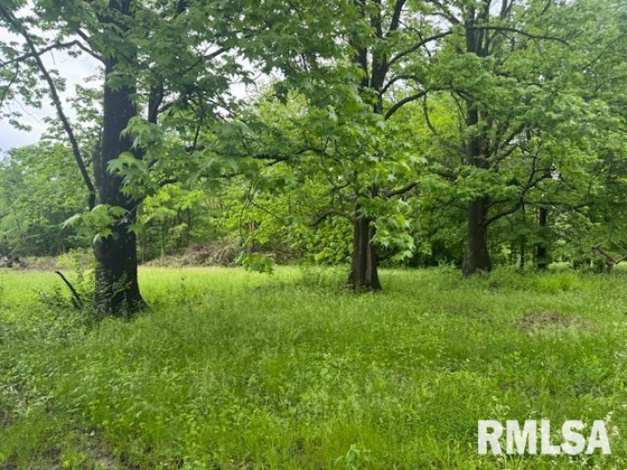 9130 ROUTE 13 Road, Marion, Illinois 62959, 0 , 0 ,0,Land,For Sale,ROUTE 13,0,RMAEB457930