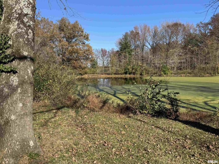 000 DELAWARE Road, Carbondale, Illinois 62901, 0 , 0 ,0,Land,For Sale,DELAWARE,0,RMAQC4263291