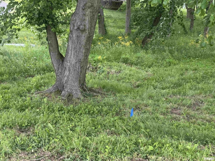 000 DOUGLAS Street, Marion, Illinois 62959, 0 , 0 ,0,Land,For Sale,DOUGLAS,0,RMAEB457977