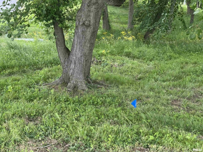 000 DOUGLAS Street, Marion, Illinois 62959, 0 , 0 ,0,Land,For Sale,DOUGLAS,0,RMAEB457977