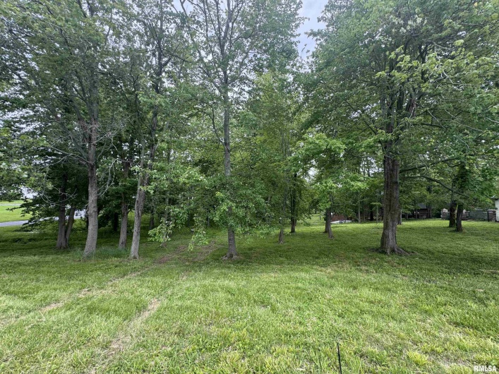 000 DOUGLAS Street, Marion, Illinois 62959, 0 , 0 ,0,Land,For Sale,DOUGLAS,0,RMAEB457977