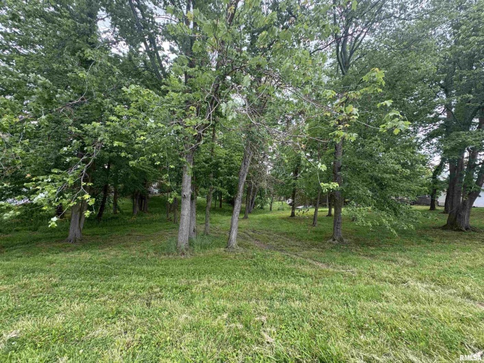 000 DOUGLAS Street, Marion, Illinois 62959, 0 , 0 ,0,Land,For Sale,DOUGLAS,0,RMAEB457977