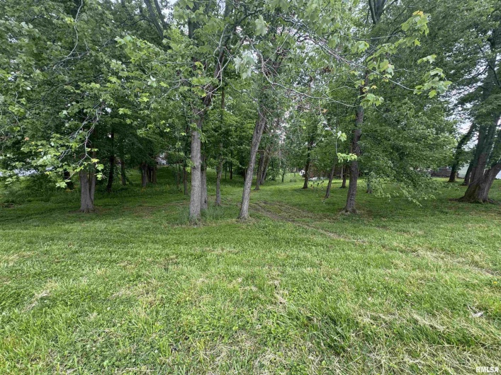 000 DOUGLAS Street, Marion, Illinois 62959, 0 , 0 ,0,Land,For Sale,DOUGLAS,0,RMAEB457977