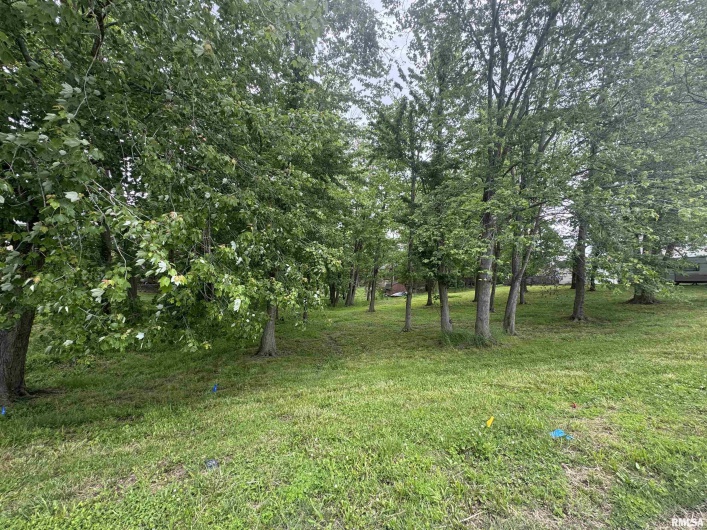 000 DOUGLAS Street, Marion, Illinois 62959, 0 , 0 ,0,Land,For Sale,DOUGLAS,0,RMAEB457977