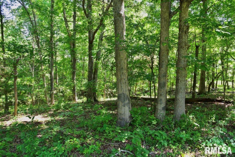 7059 MIDWAY Road, Metropolis, Illinois 62960, 2 Bedrooms Bedrooms, 0 ,1 BathroomBathrooms,Residential,For Sale,MIDWAY,0,RMACA1036501