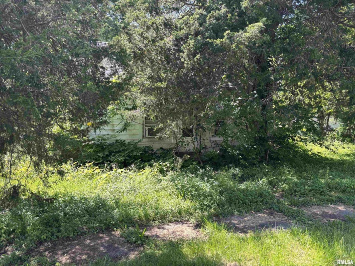 301 5TH Street, Elkville, Illinois 62932, 0 , 0 ,0,Land,For Sale,5TH,0,RMAQC4263440