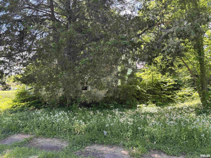 301 5TH Street, Elkville, Illinois 62932, 0 , 0 ,0,Land,For Sale,5TH,0,RMAQC4263440