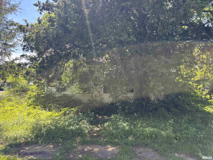 301 5TH Street, Elkville, Illinois 62932, 0 , 0 ,0,Land,For Sale,5TH,0,RMAQC4263440