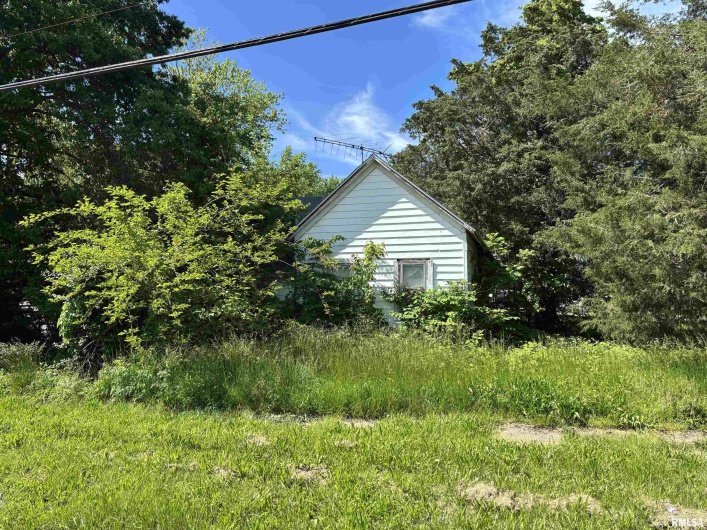 301 5TH Street, Elkville, Illinois 62932, 0 , 0 ,0,Land,For Sale,5TH,0,RMAQC4263440