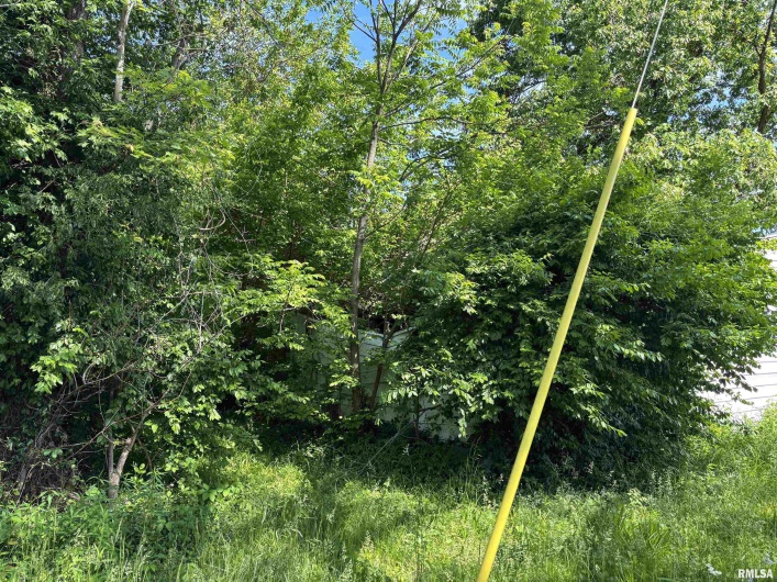 301 5TH Street, Elkville, Illinois 62932, 0 , 0 ,0,Land,For Sale,5TH,0,RMAQC4263440