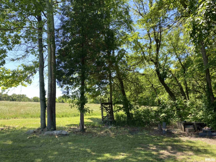 1640 PLEASANT RIDGE Road, Vienna, Illinois 62995-9, 3 Bedrooms Bedrooms, 0 ,2 BathroomsBathrooms,Residential,For Sale,PLEASANT RIDGE,0,RMAEB458080