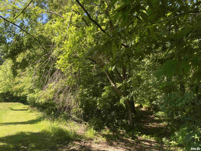 1640 PLEASANT RIDGE Road, Vienna, Illinois 62995-9, 3 Bedrooms Bedrooms, 0 ,2 BathroomsBathrooms,Residential,For Sale,PLEASANT RIDGE,0,RMAEB458080