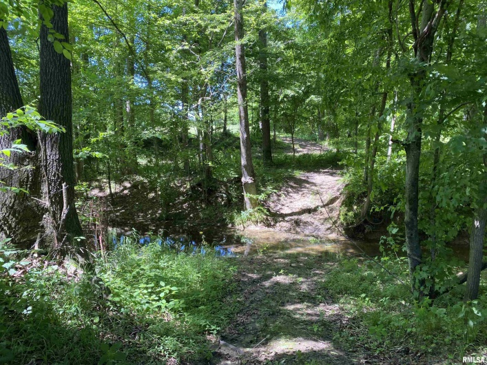 1640 PLEASANT RIDGE Road, Vienna, Illinois 62995-9, 3 Bedrooms Bedrooms, 0 ,2 BathroomsBathrooms,Residential,For Sale,PLEASANT RIDGE,0,RMAEB458080