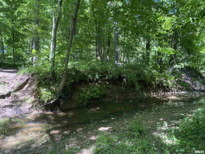 1640 PLEASANT RIDGE Road, Vienna, Illinois 62995-9, 3 Bedrooms Bedrooms, 0 ,2 BathroomsBathrooms,Residential,For Sale,PLEASANT RIDGE,0,RMAEB458080