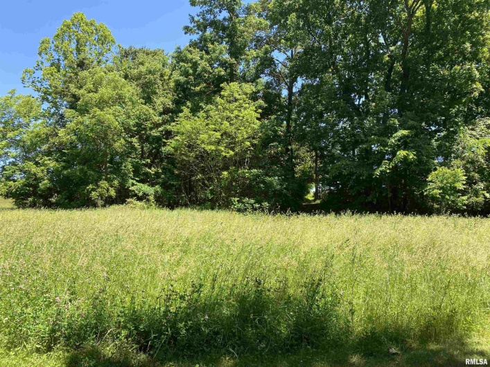 1640 PLEASANT RIDGE Road, Vienna, Illinois 62995-9, 3 Bedrooms Bedrooms, 0 ,2 BathroomsBathrooms,Residential,For Sale,PLEASANT RIDGE,0,RMAEB458080