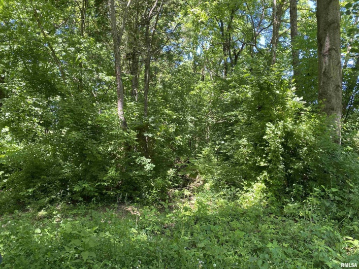 1640 PLEASANT RIDGE Road, Vienna, Illinois 62995-9, 3 Bedrooms Bedrooms, 0 ,2 BathroomsBathrooms,Residential,For Sale,PLEASANT RIDGE,0,RMAEB458080