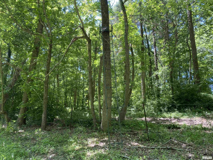 1640 PLEASANT RIDGE Road, Vienna, Illinois 62995-9, 3 Bedrooms Bedrooms, 0 ,2 BathroomsBathrooms,Residential,For Sale,PLEASANT RIDGE,0,RMAEB458080