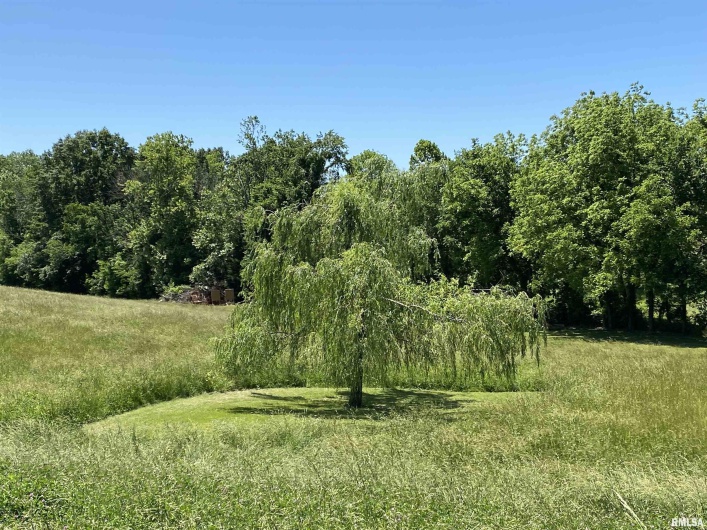 1640 PLEASANT RIDGE Road, Vienna, Illinois 62995-9, 3 Bedrooms Bedrooms, 0 ,2 BathroomsBathrooms,Residential,For Sale,PLEASANT RIDGE,0,RMAEB458080