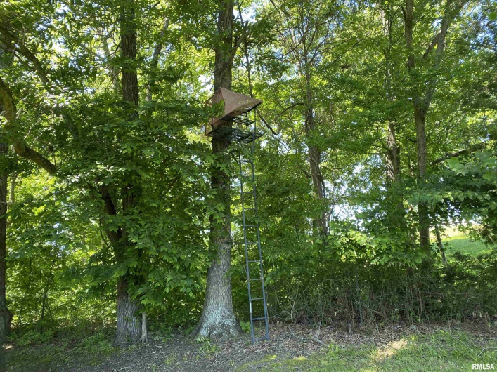 1640 PLEASANT RIDGE Road, Vienna, Illinois 62995-9, 3 Bedrooms Bedrooms, 0 ,2 BathroomsBathrooms,Residential,For Sale,PLEASANT RIDGE,0,RMAEB458080