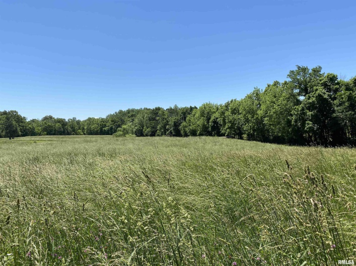 1640 PLEASANT RIDGE Road, Vienna, Illinois 62995-9, 3 Bedrooms Bedrooms, 0 ,2 BathroomsBathrooms,Residential,For Sale,PLEASANT RIDGE,0,RMAEB458080