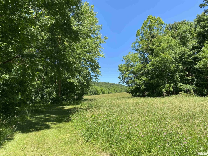 1640 PLEASANT RIDGE Road, Vienna, Illinois 62995-9, 3 Bedrooms Bedrooms, 0 ,2 BathroomsBathrooms,Residential,For Sale,PLEASANT RIDGE,0,RMAEB458080