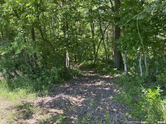 1640 PLEASANT RIDGE Road, Vienna, Illinois 62995-9, 3 Bedrooms Bedrooms, 0 ,2 BathroomsBathrooms,Residential,For Sale,PLEASANT RIDGE,0,RMAEB458080