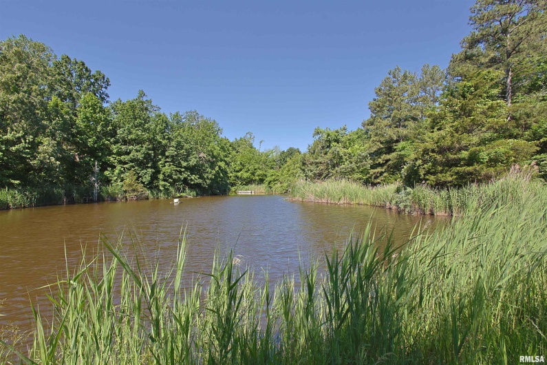 1921 GRANGE HALL Road, Marion, Illinois 62959, 0 , 0 ,0,Land,For Sale,GRANGE HALL,0,RMAEB458106