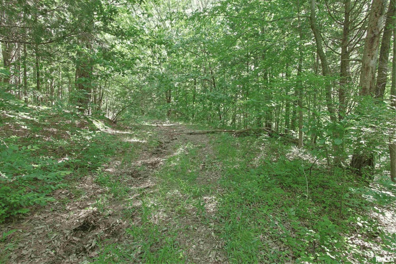 1921 GRANGE HALL Road, Marion, Illinois 62959, 0 , 0 ,0,Land,For Sale,GRANGE HALL,0,RMAEB458106