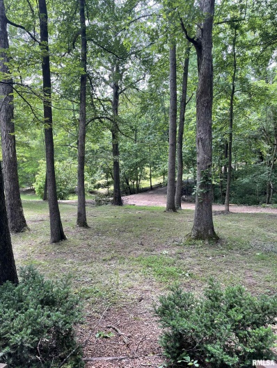 5284 IL Route 145 Road, Metropolis, Illinois 62960, 5 Bedrooms Bedrooms, 0 ,3 BathroomsBathrooms,Residential,For Sale,IL Route 145,0,RMAEB458112