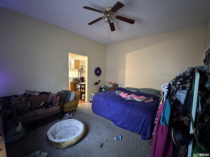 401 MONROE Street, Carbondale, Illinois 62901, 0 , 0 ,0,Residential Income,For Sale,MONROE,0,RMAEB450603