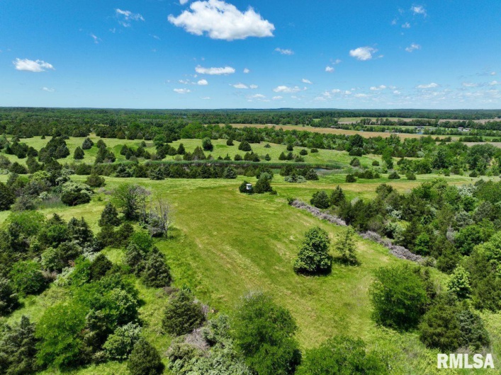 1501 DUNCAN Road, Carrier Mills, Illinois 62917, 4 Bedrooms Bedrooms, 0 ,0,Land,For Sale,DUNCAN,0,RMACA1036716