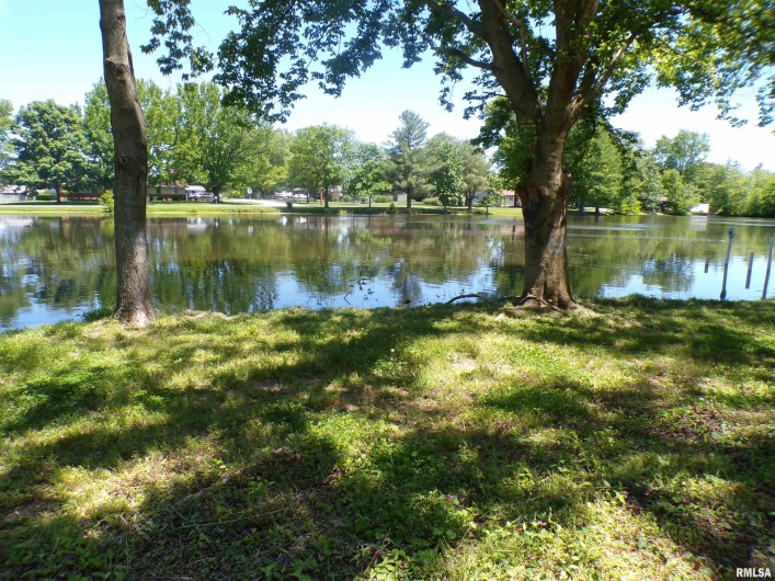 408 JACKSON Street, DeSoto, Illinois 62924, 0 , 0 ,0,Land,For Sale,JACKSON,0,RMAEB458164