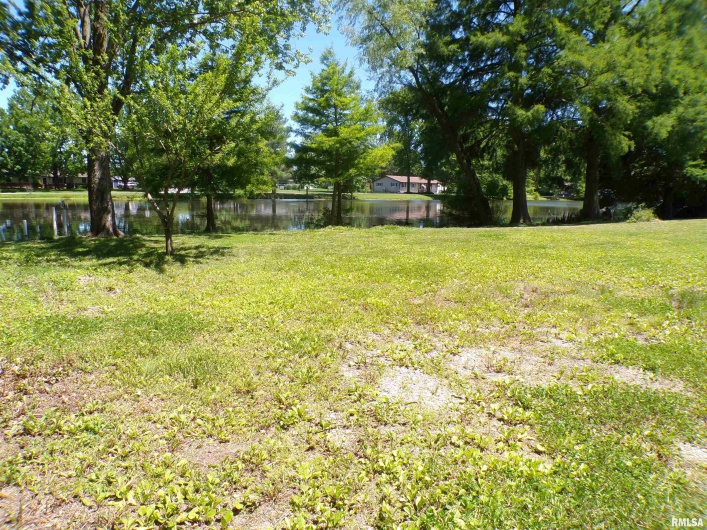 408 JACKSON Street, DeSoto, Illinois 62924, 0 , 0 ,0,Land,For Sale,JACKSON,0,RMAEB458164