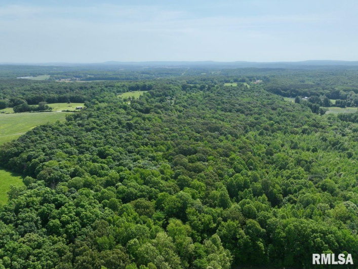 000 Robinson Hill Road, Stonefort, Illinois 62987, 0 , 0 ,0,Land,For Sale,Robinson Hill,0,RMACA1036795