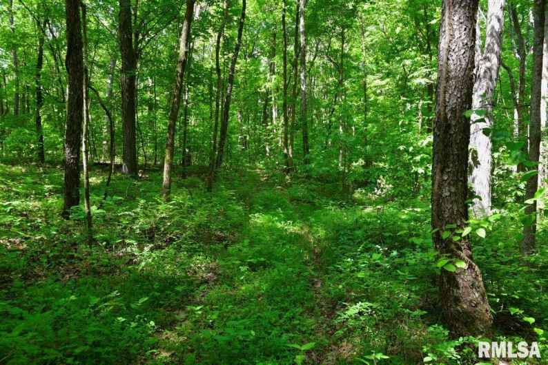 000 Robinson Hill Road, Stonefort, Illinois 62987, 0 , 0 ,0,Land,For Sale,Robinson Hill,0,RMACA1036795