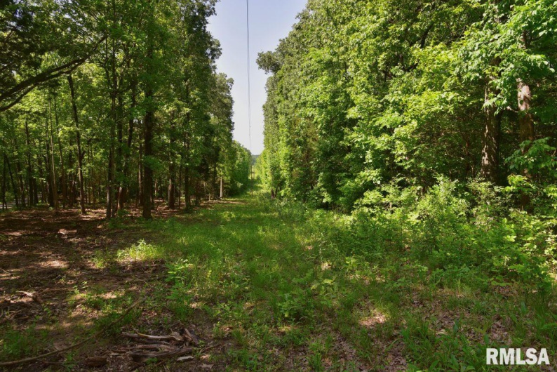 000 Robinson Hill Road, Stonefort, Illinois 62987, 0 , 0 ,0,Land,For Sale,Robinson Hill,0,RMACA1036795