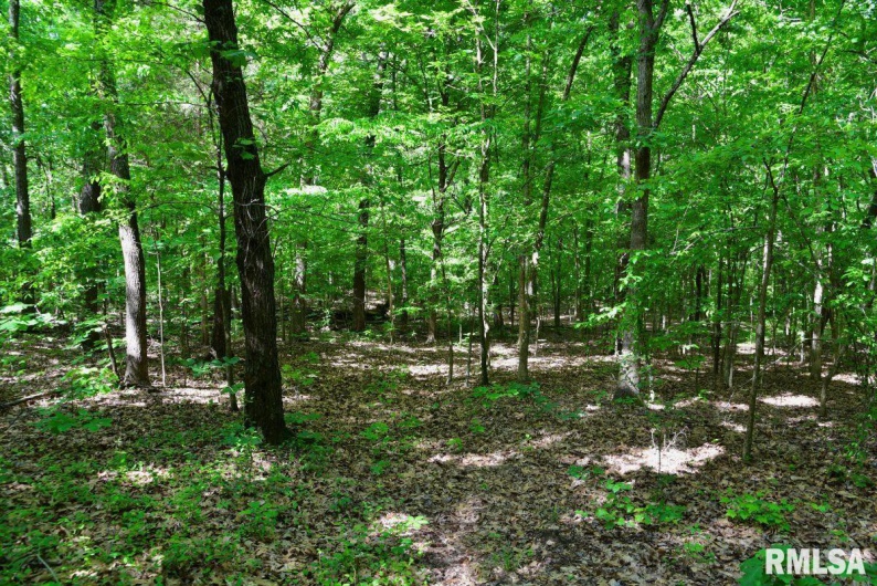 000 Robinson Hill Road, Stonefort, Illinois 62987, 0 , 0 ,0,Land,For Sale,Robinson Hill,0,RMACA1036795