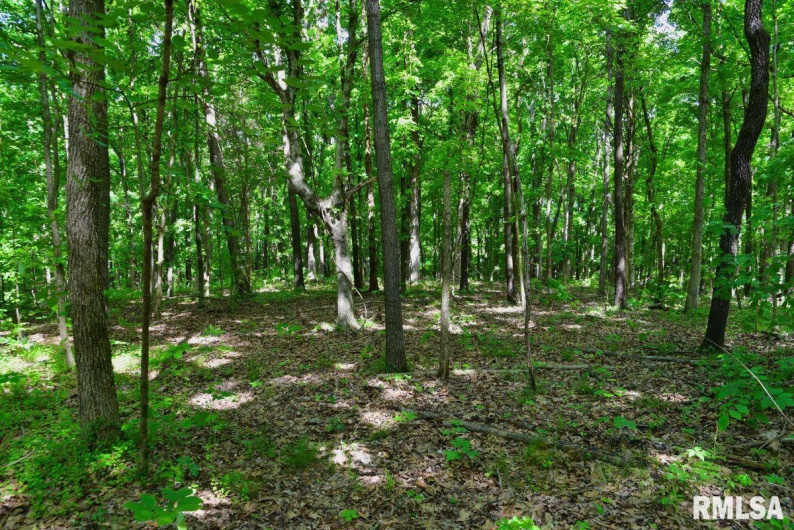 000 Robinson Hill Road, Stonefort, Illinois 62987, 0 , 0 ,0,Land,For Sale,Robinson Hill,0,RMACA1036795