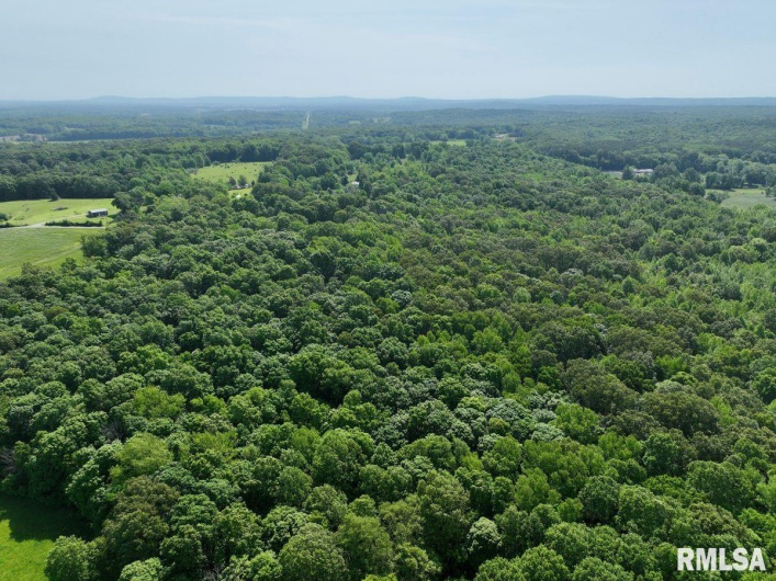 000 Robinson Hill Road, Stonefort, Illinois 62987, 0 , 0 ,0,Land,For Sale,Robinson Hill,0,RMACA1036795