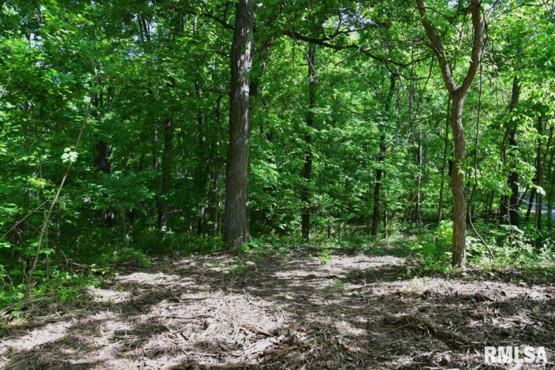 000 Robinson Hill Road, Stonefort, Illinois 62987, 0 , 0 ,0,Land,For Sale,Robinson Hill,0,RMACA1036795