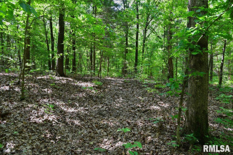 000 Robinson Hill Road, Stonefort, Illinois 62987, 0 , 0 ,0,Land,For Sale,Robinson Hill,0,RMACA1036795