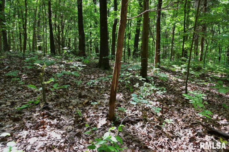000 Robinson Hill Road, Stonefort, Illinois 62987, 0 , 0 ,0,Land,For Sale,Robinson Hill,0,RMACA1036795